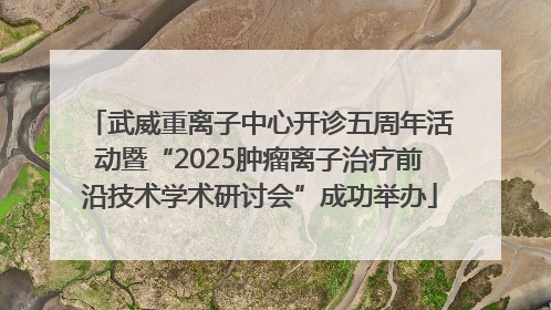 武威重离子中心开诊五周年活动暨“2025肿瘤离子治疗前沿技术学术研讨会”成功举办