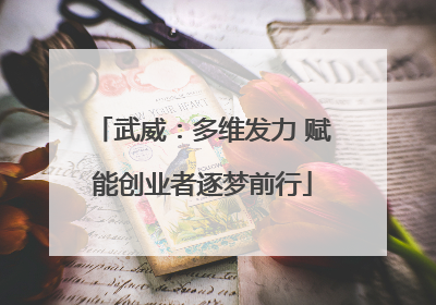 武威：多维发力 赋能创业者逐梦前行