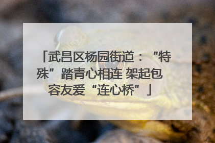 武昌区杨园街道：“特殊”踏青心相连 架起包容友爱“连心桥”