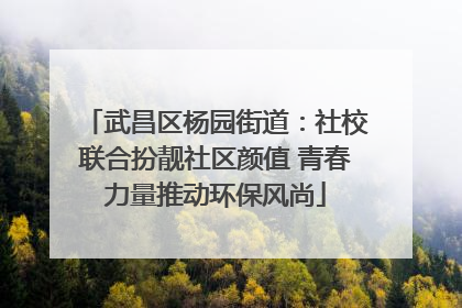 武昌区杨园街道：社校联合扮靓社区颜值 青春力量推动环保风尚