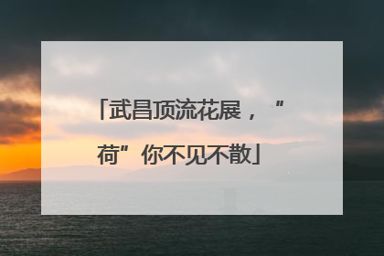 武昌顶流花展，“荷”你不见不散