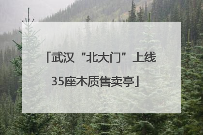 武汉“北大门”上线35座木质售卖亭