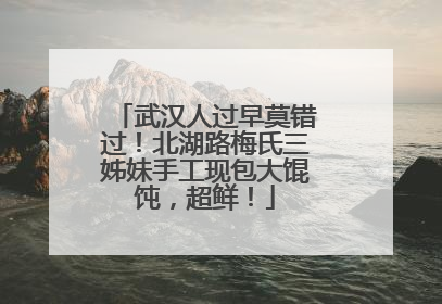 武汉人过早莫错过！北湖路梅氏三姊妹手工现包大馄饨，超鲜！