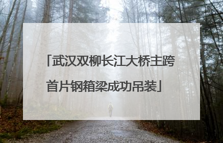 武汉双柳长江大桥主跨首片钢箱梁成功吊装