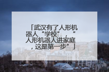 武汉有了人形机器人“学校”，“人形机器人进家庭，这是第一步”