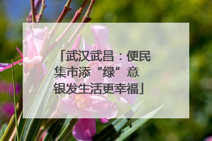 武汉武昌：便民集市添“绿”意 银发生活更幸福