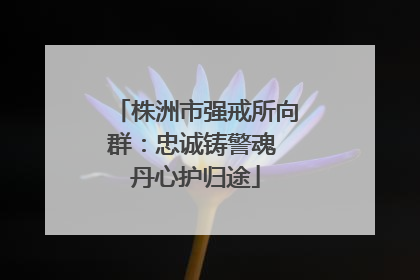 株洲市强戒所向群：忠诚铸警魂 丹心护归途