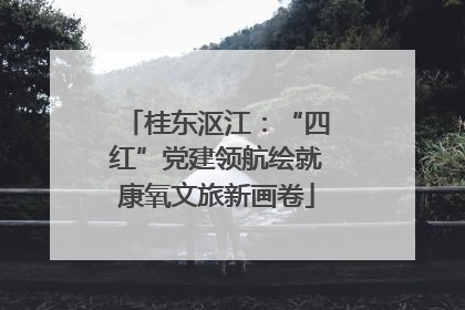 桂东沤江：“四红”党建领航绘就康氧文旅新画卷