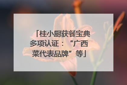 桂小厨获餐宝典多项认证：“广西菜代表品牌”等
