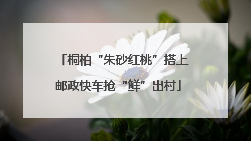 桐柏“朱砂红桃”搭上邮政快车抢“鲜”出村