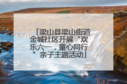 梁山县梁山街道金城社区开展“欢乐六一，童心同行”亲子主题活动