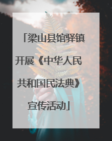 梁山县馆驿镇开展《中华人民共和国民法典》宣传活动