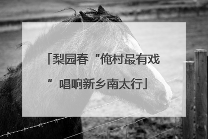 梨园春“俺村最有戏”唱响新乡南太行