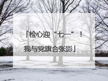 检心迎“七一”！我与党旗合张影