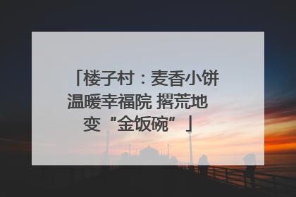 楼子村：麦香小饼温暖幸福院 撂荒地变“金饭碗”