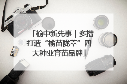 榆中新先事｜多措打造“榆苗陇萃”四大种业育苗品牌