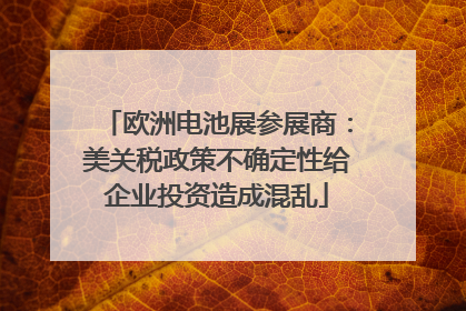 欧洲电池展参展商：美关税政策不确定性给企业投资造成混乱