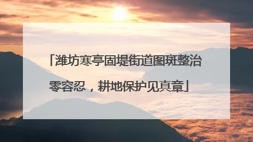 潍坊寒亭固堤街道图斑整治零容忍，耕地保护见真章