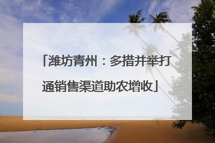 潍坊青州：多措并举打通销售渠道助农增收