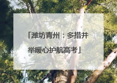 潍坊青州：多措并举暖心护航高考