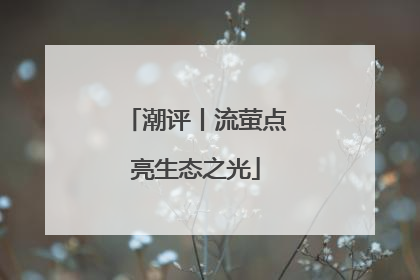 潮评丨流萤点亮生态之光