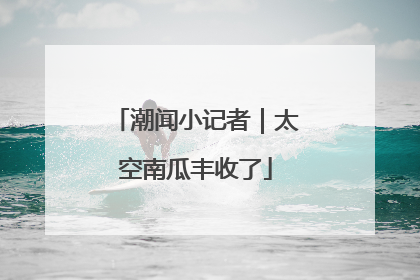 潮闻小记者｜太空南瓜丰收了