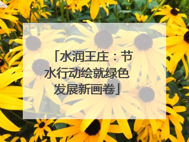 水润王庄：节水行动绘就绿色发展新画卷