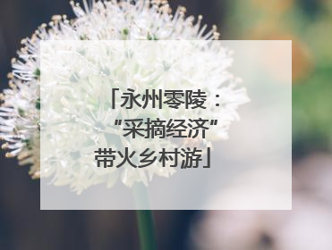 永州零陵：“采摘经济”带火乡村游