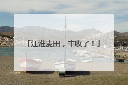 江淮麦田，丰收了！