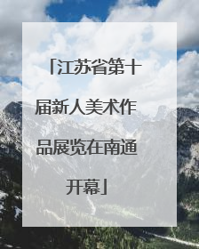 江苏省第十届新人美术作品展览在南通开幕