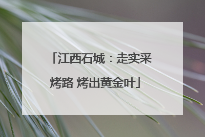 江西石城：走实采烤路 烤出黄金叶