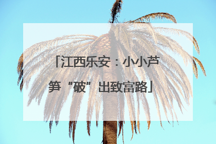 江西乐安：小小芦笋“破”出致富路