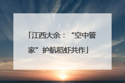 江西大余：“空中管家”护航稻虾共作