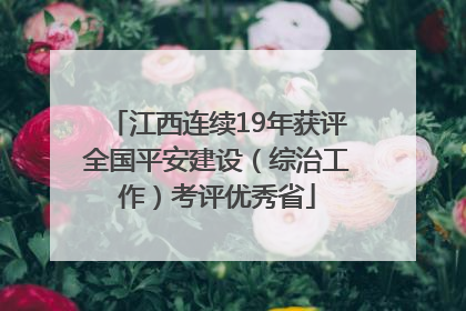 江西连续19年获评全国平安建设（综治工作）考评优秀省