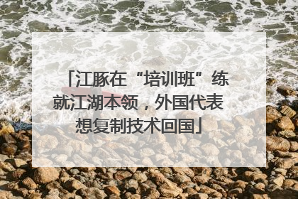 江豚在“培训班”练就江湖本领，外国代表想复制技术回国