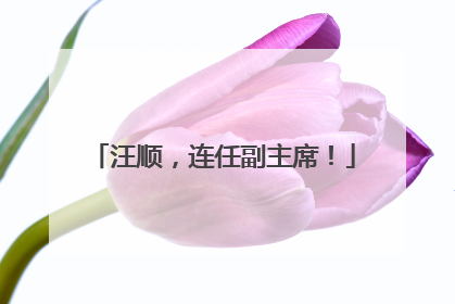 汪顺，连任副主席！