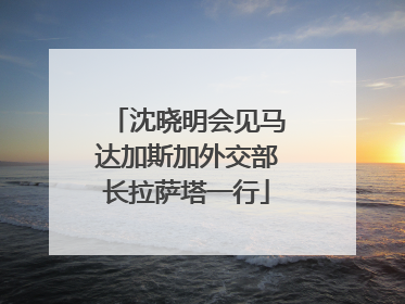 沈晓明会见马达加斯加外交部长拉萨塔一行