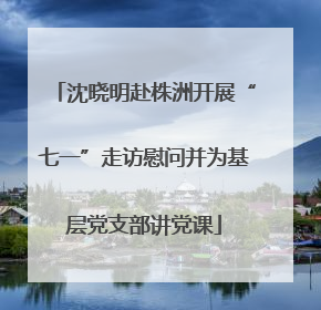 沈晓明赴株洲开展“七一”走访慰问并为基层党支部讲党课