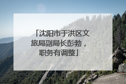 沈阳市于洪区文旅局副局长彭勃，职务有调整