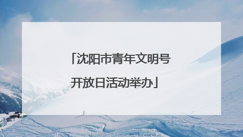 沈阳市青年文明号开放日活动举办