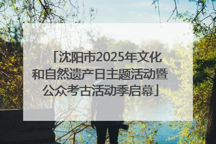 沈阳市2025年文化和自然遗产日主题活动暨公众考古活动季启幕