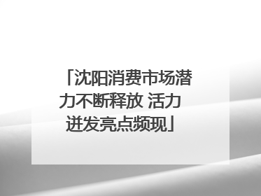 沈阳消费市场潜力不断释放 活力迸发亮点频现