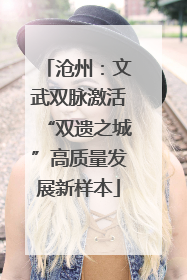 沧州：文武双脉激活“双遗之城”高质量发展新样本