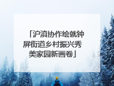 沪滇协作绘就钟屏街道乡村振兴秀美家园新画卷