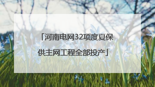 河南电网32项度夏保供主网工程全部投产