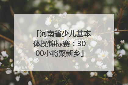 河南省少儿基本体操锦标赛：3000小将聚新乡