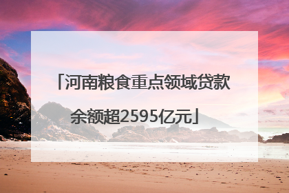 河南粮食重点领域贷款余额超2595亿元