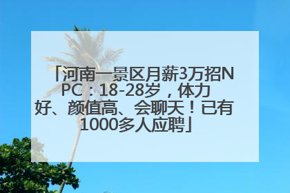 河南一景区月薪3万招NPC：18-28岁，体力好、颜值高、会聊天！已有1000多人应聘