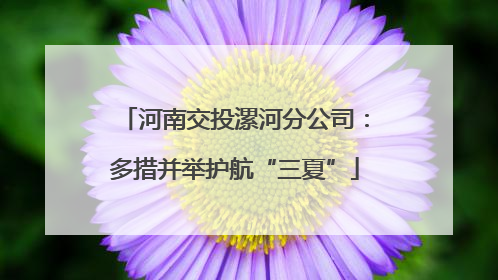 河南交投漯河分公司：多措并举护航“三夏”