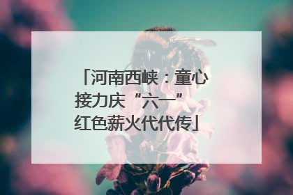 河南西峡：童心接力庆“六一” 红色薪火代代传